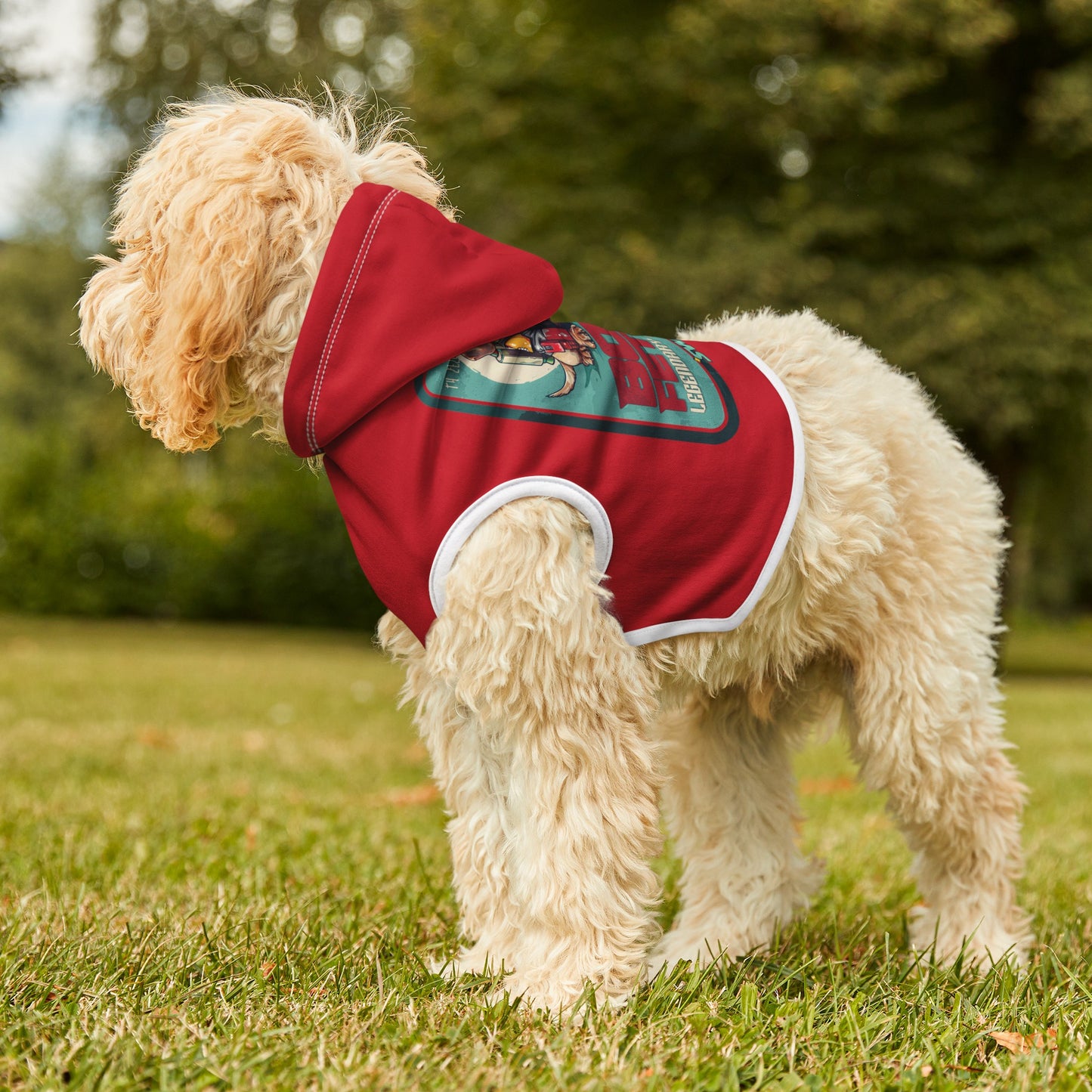 Boba Fettch - Star Wars | Pet Hoodie