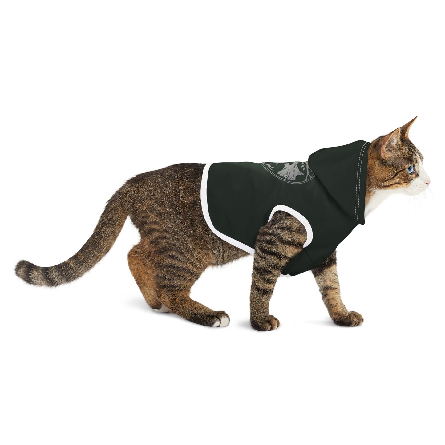 Destiny 2 Iron Banner | Pet Hoodie