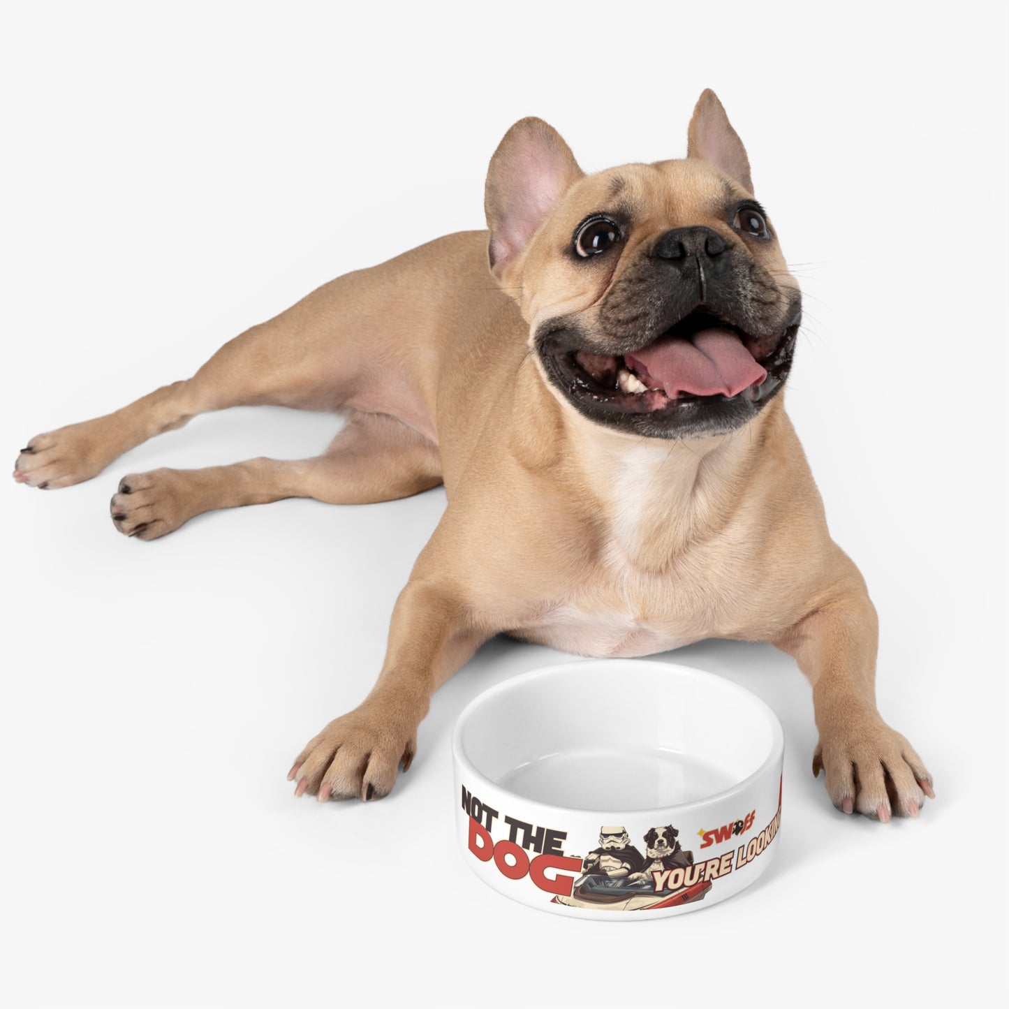 Not The Dog You're Looking 4 - Star Wars | Comedouro