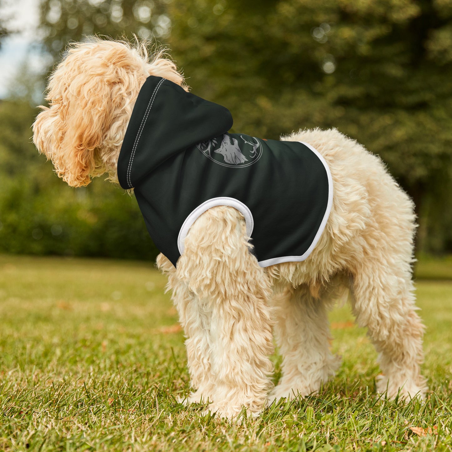 Destiny 2 Iron Banner | Pet Hoodie