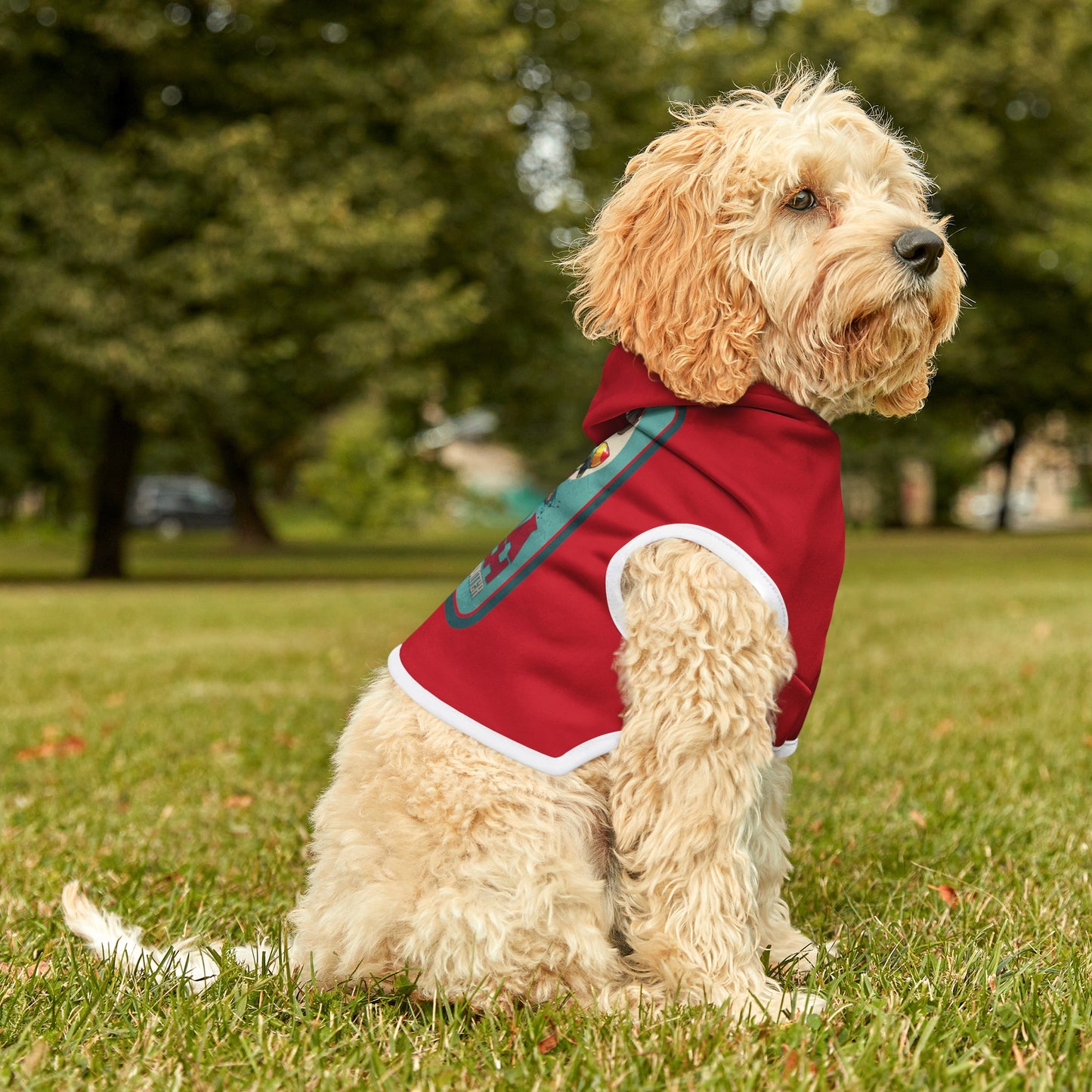 Boba Fettch - Star Wars | Pet Hoodie